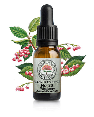 No 20 Wineberry