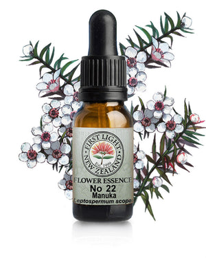 No 22 Manuka