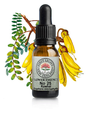 No 25 Kowhai