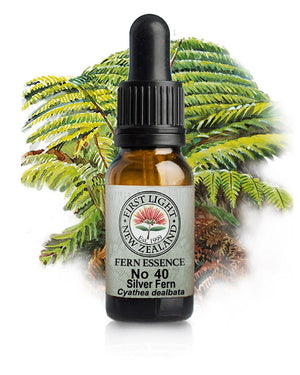 No 40 Silver Fern
