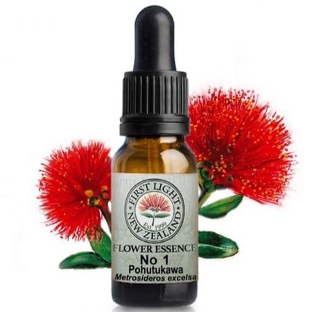 Bullying - A Flower Essence Recommendation - No 1 Pohutukawa