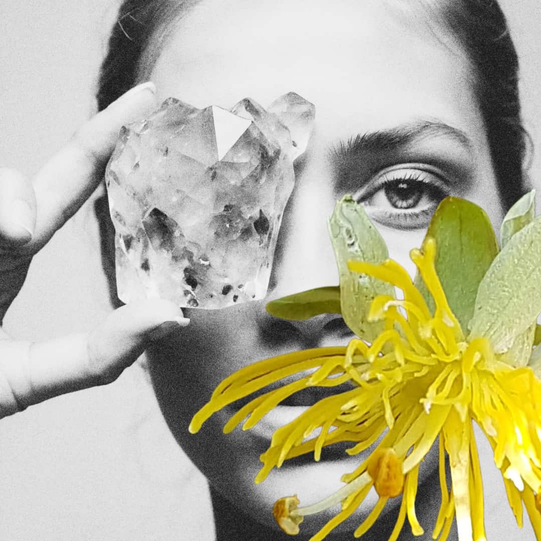 Want To Tap Into Some Abundance With Flower Essences?