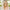 Niki's Story: A Chronic Health Condition and Flower Essences