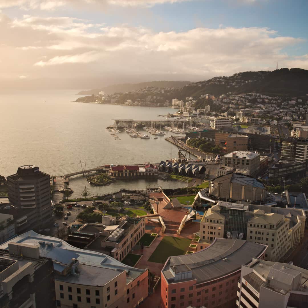 Jul-Aug 2013 Wellington Earthquake - First Light Flower Essences of New Zealand® Disaster Relief© Blend