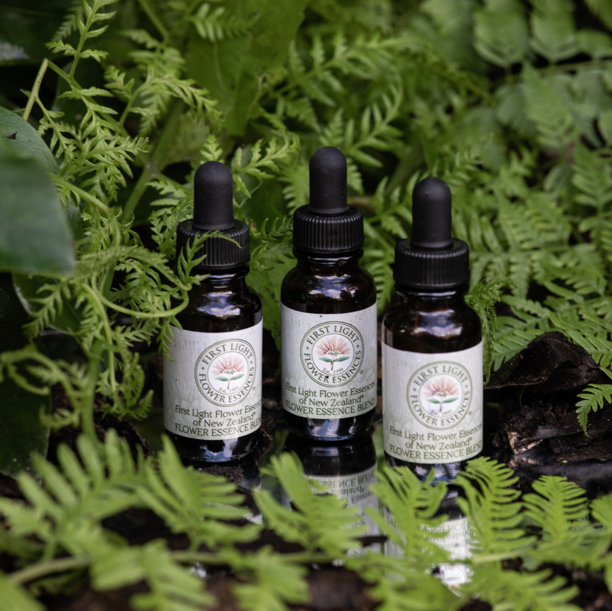 Flower Essences: Addressing the Link Between Dis-Ease and the Human Spirit