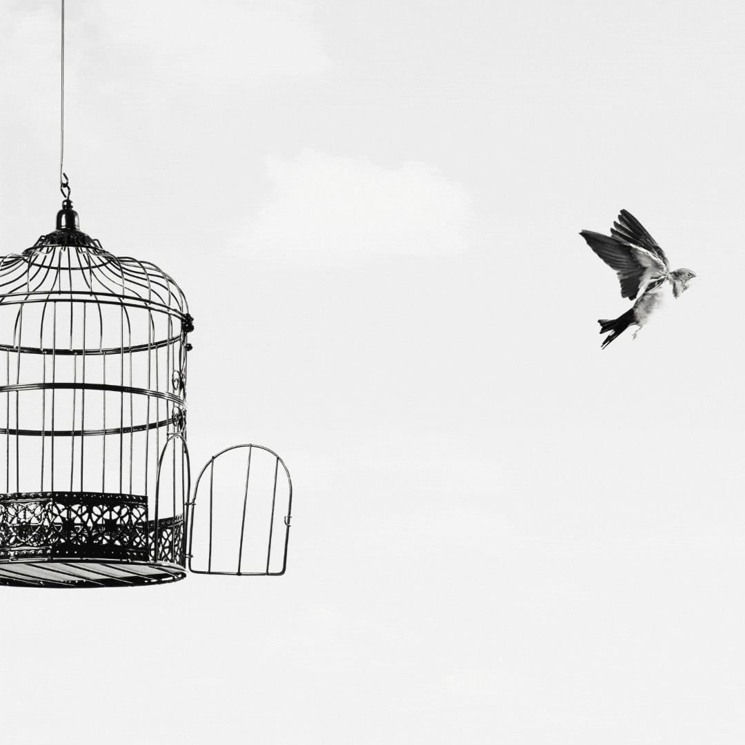 Break Free From Twelve Fears and Negative Core Beliefs
