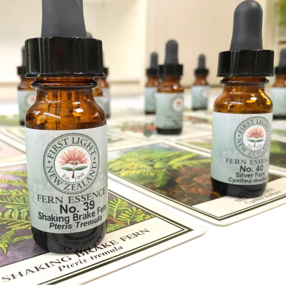 A Path to Holistic  Healing: How Native New Zealand Flower Essences Support Transformation, Balance & Growth.