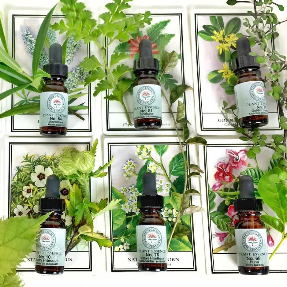 How To Select a First Light® Flower Essence For Yourself Or Another