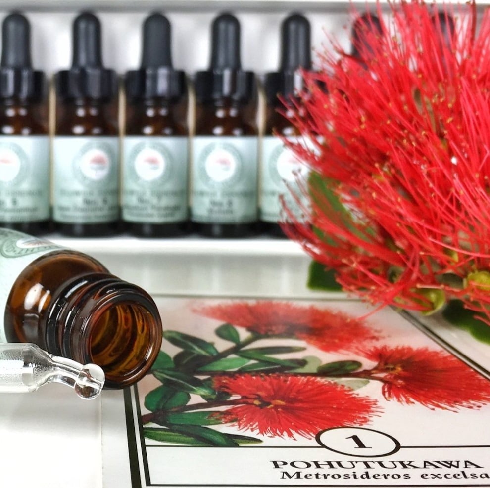 First Light® Flowers of Transformation