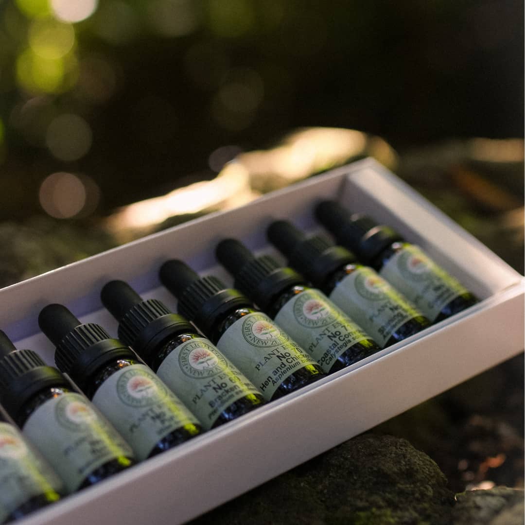 Practitioner Flower Essence Kit