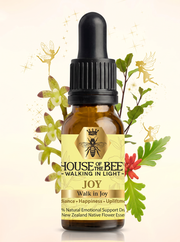 House of the Bee Walking in Light Joy Drops 20ml bottle
