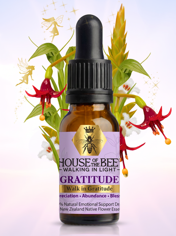 House of the Bee Walking in Light Gratitude Drops 20ml bottle