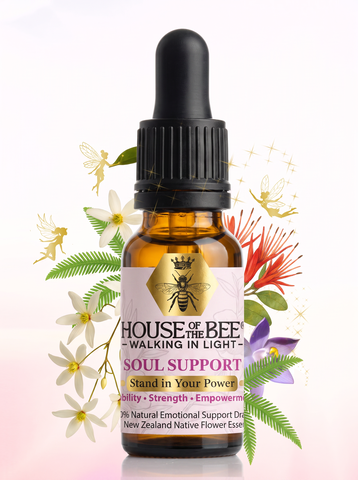 House of the Bee Walking in Light Soul Support Drops 20ml bottle