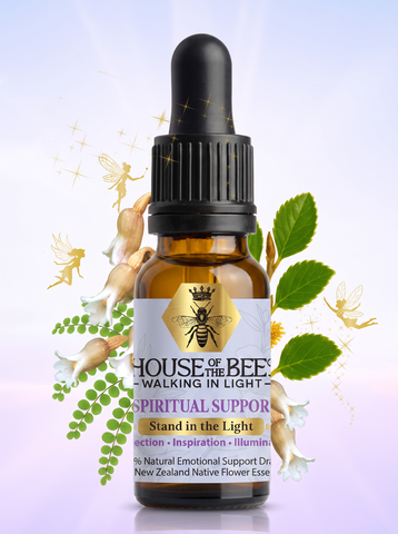 House of the Bee Walking in Light Spiritual Support Drops 20ml bottle