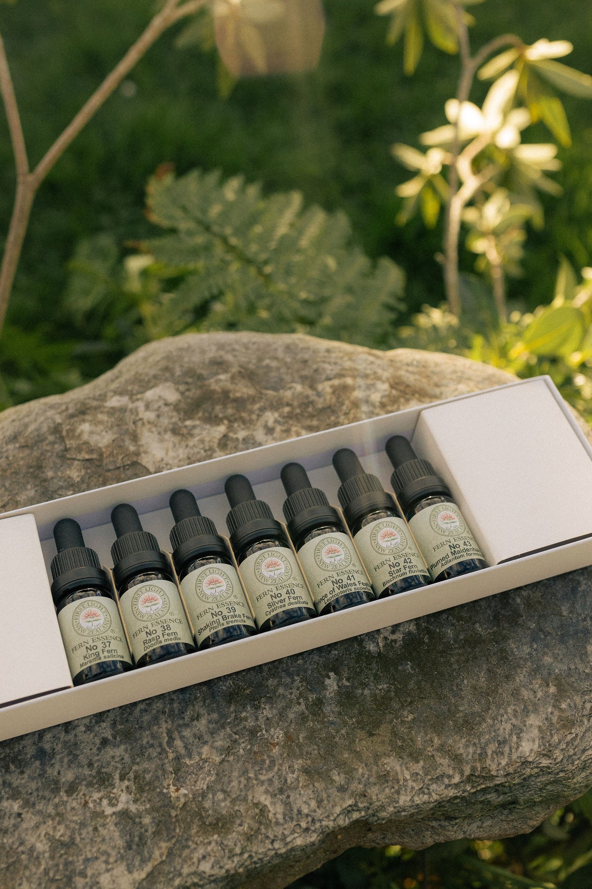 First Light fern essence bottles in their boxed set