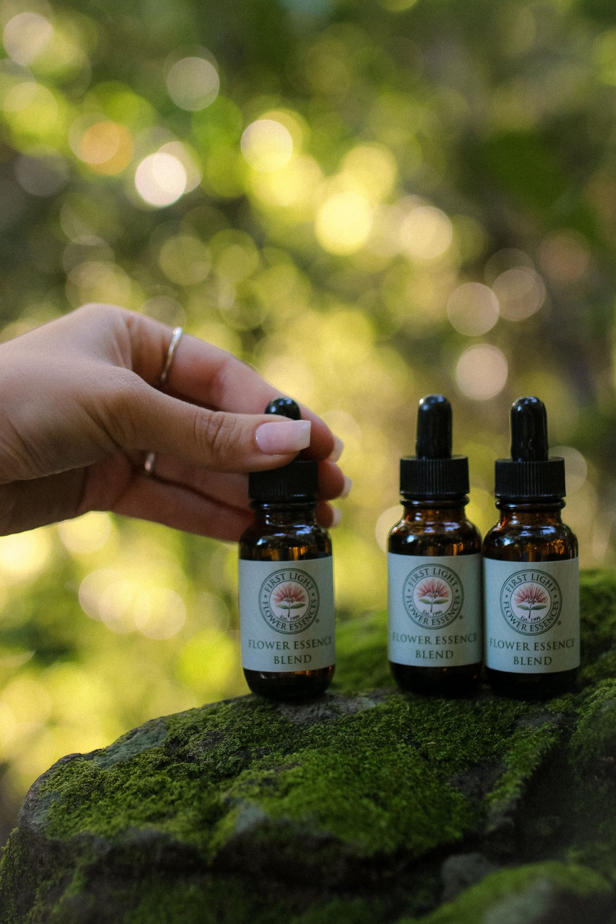 Choosing between three First Light flower essence blend bottles on a mossy rock