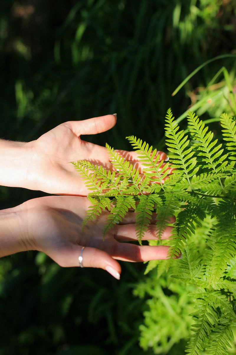 Fern Essences No’s 37-43 and the Aura