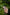 Crisis Support and De-Tox Support oral sprays held in a hand among native New Zealand leaves