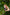 Vital Woman Menopause Support oral spray held between fingertips in the garden