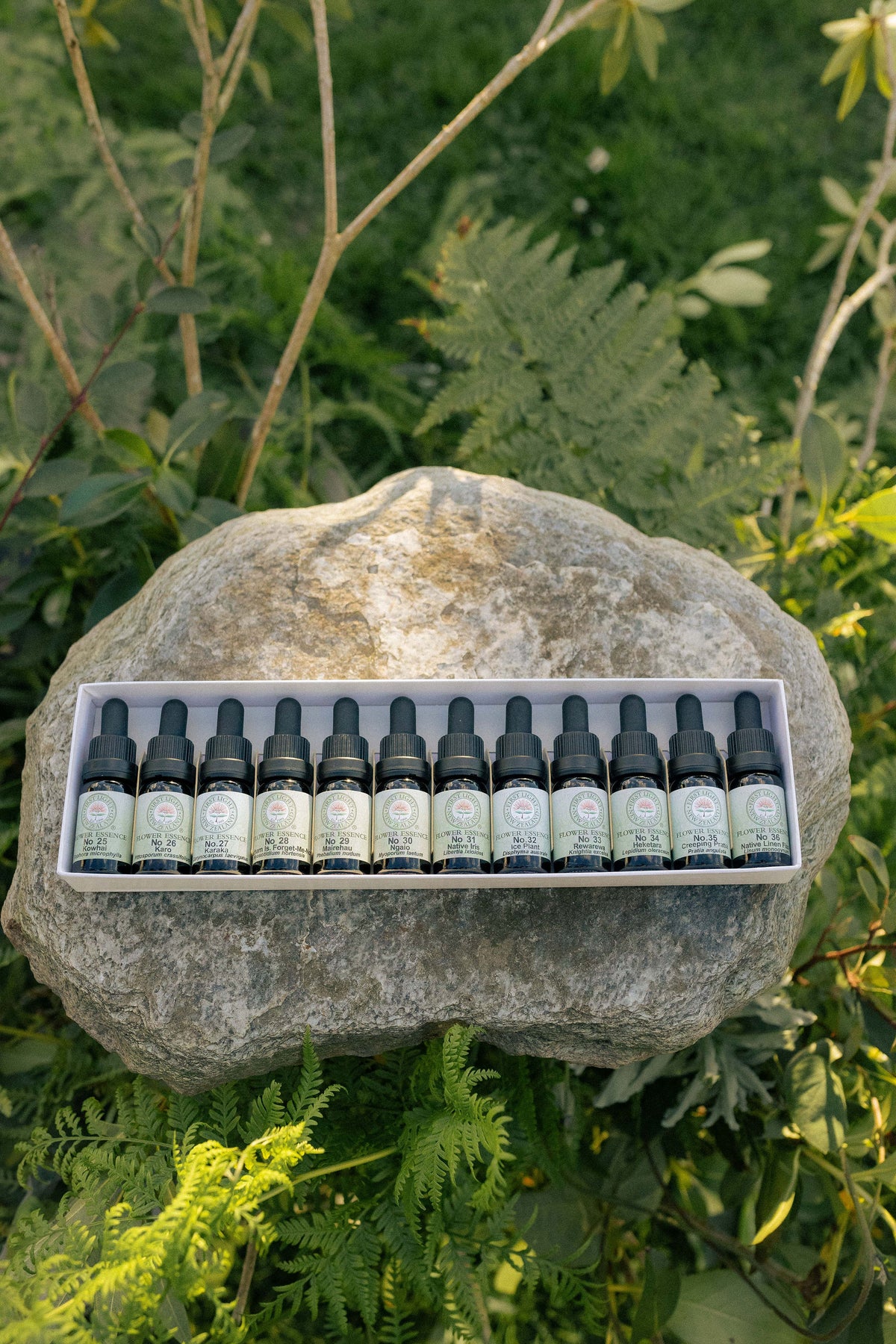First Light flower essence bottles in their boxed set