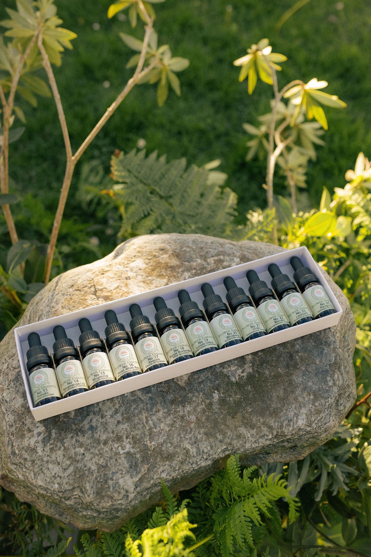 First Light flower essence bottles in their boxed set