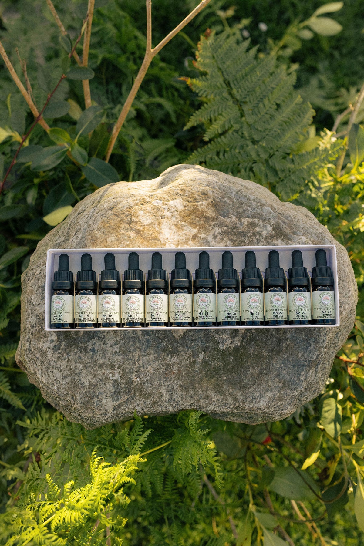 First Light flower essence bottles in their boxed set