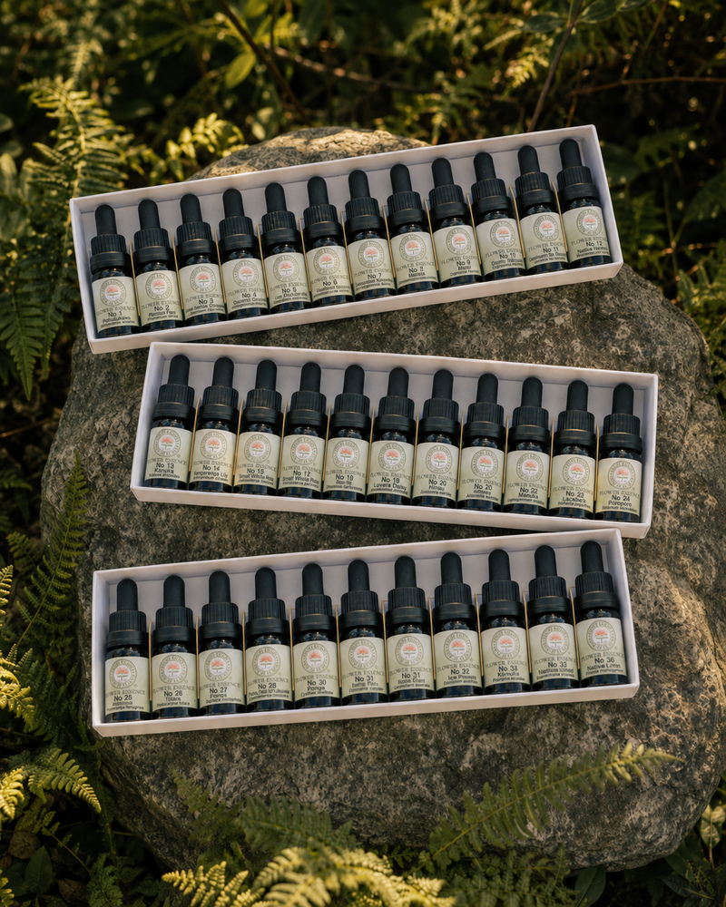 The Flower Collection - Three Box Set No's 1-36