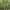 NZNFET 107-108 Seed Essences No's 51-62 and DNA - Online Course