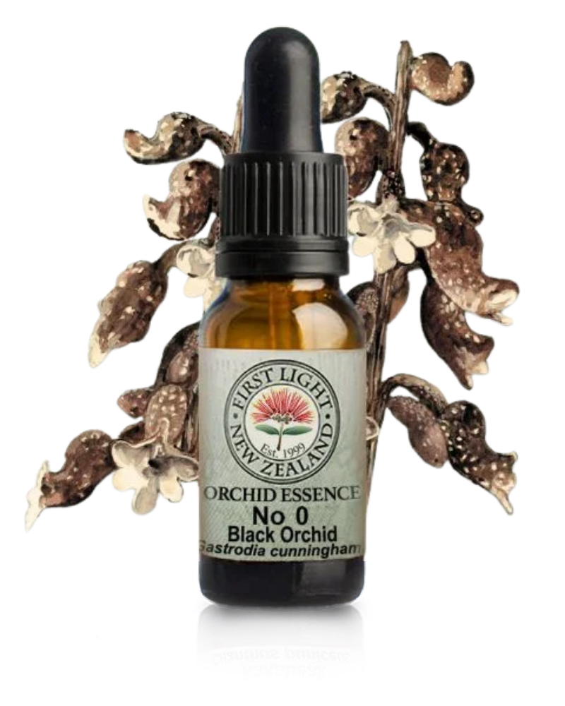 No 0 Black Orchid