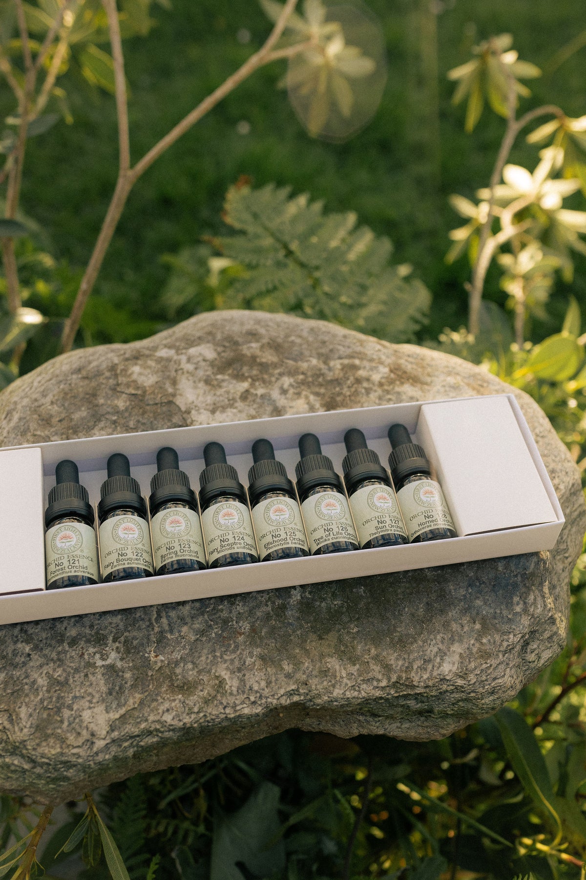 First Light orchid essence bottles in their boxed set