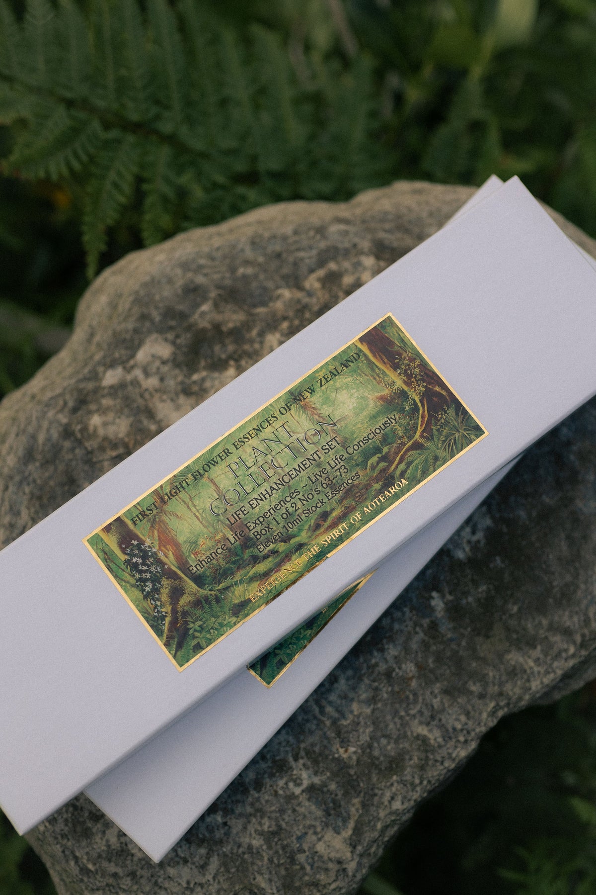 The Plant Collection Life Enhancement Two Box Set