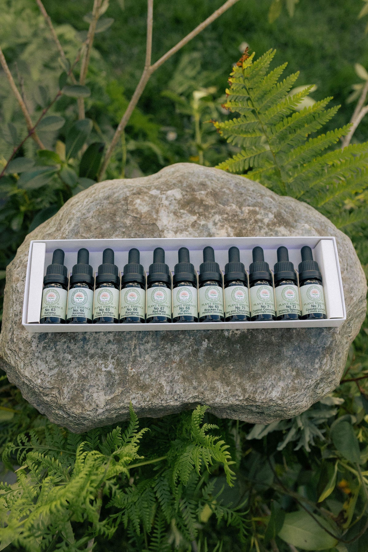 First Light plant essence bottles in their boxed set