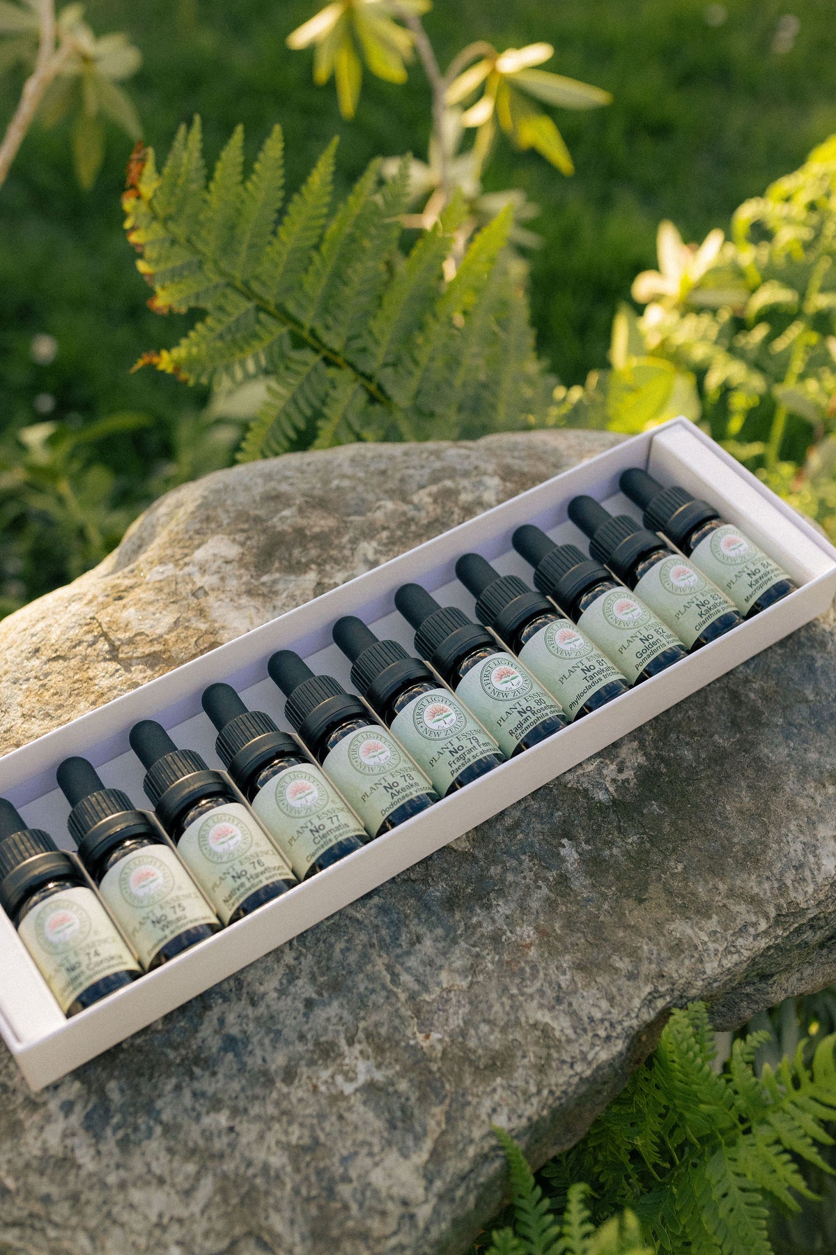 First Light plant essence bottles in their boxed set