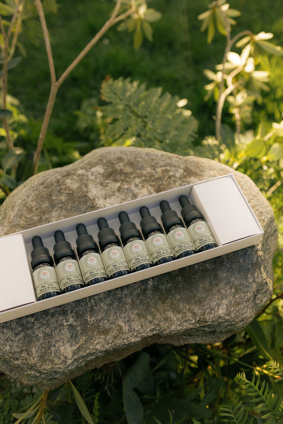 First Light sacred forest essence bottles in their boxed set