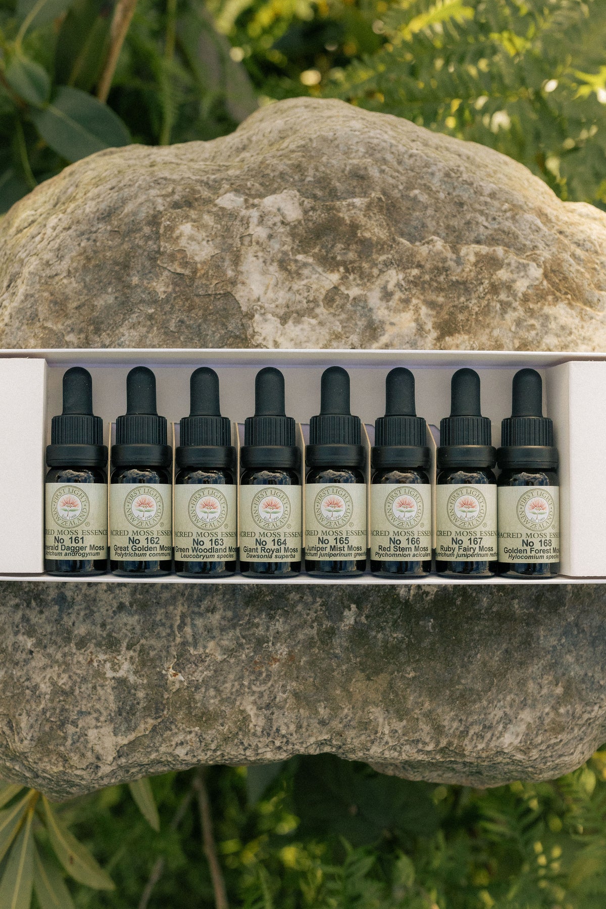 First Light sacred moss essence bottles in their boxed set