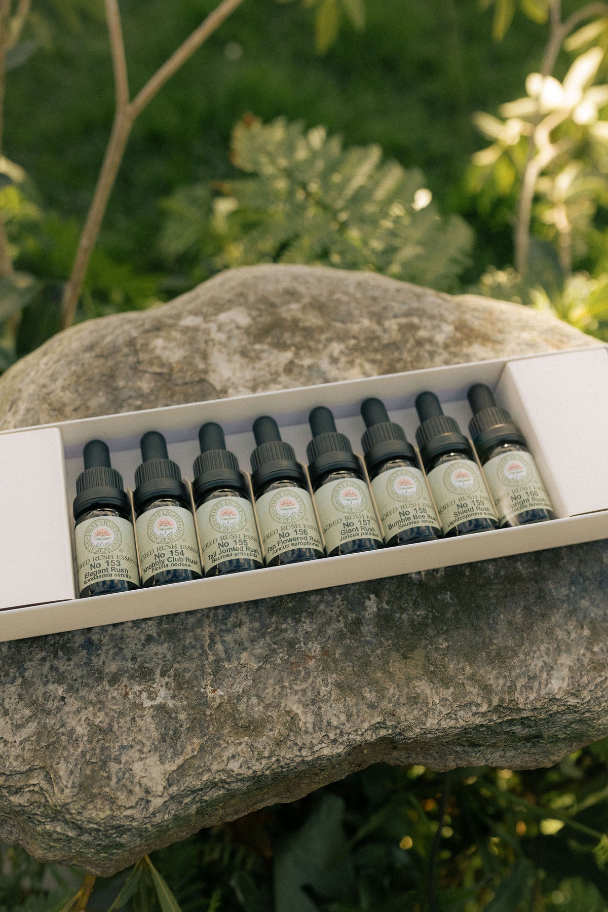 First Light sacred rush essence bottles in their boxed set