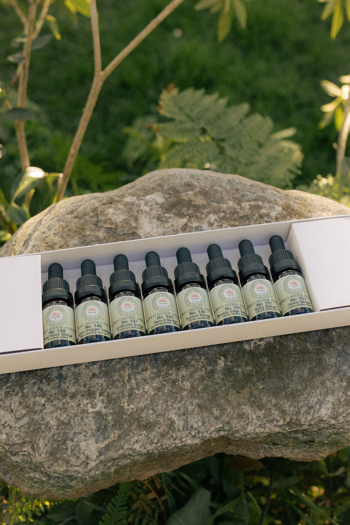 First Light sacred sedge essence bottles in their boxed set