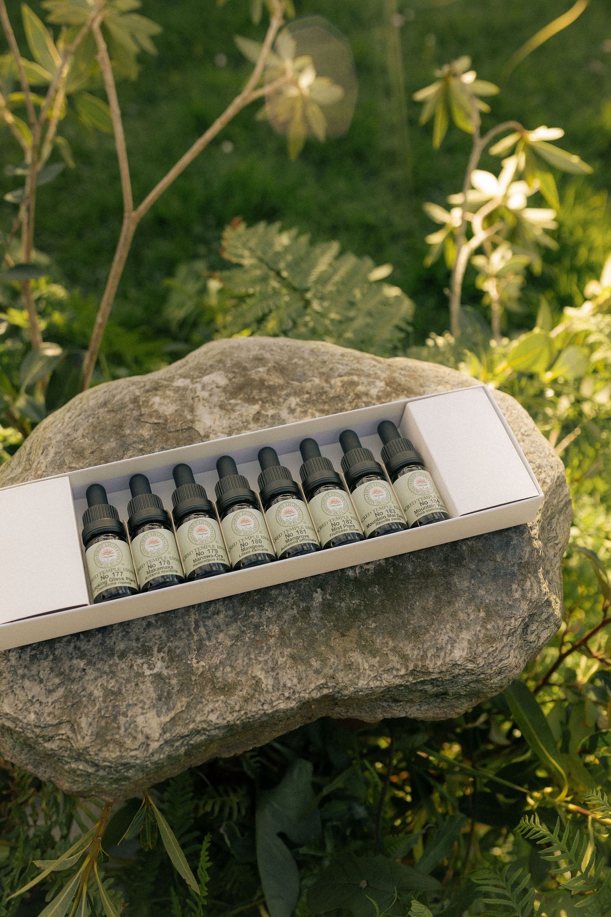 First Light sacred temple essence bottles in their boxed set