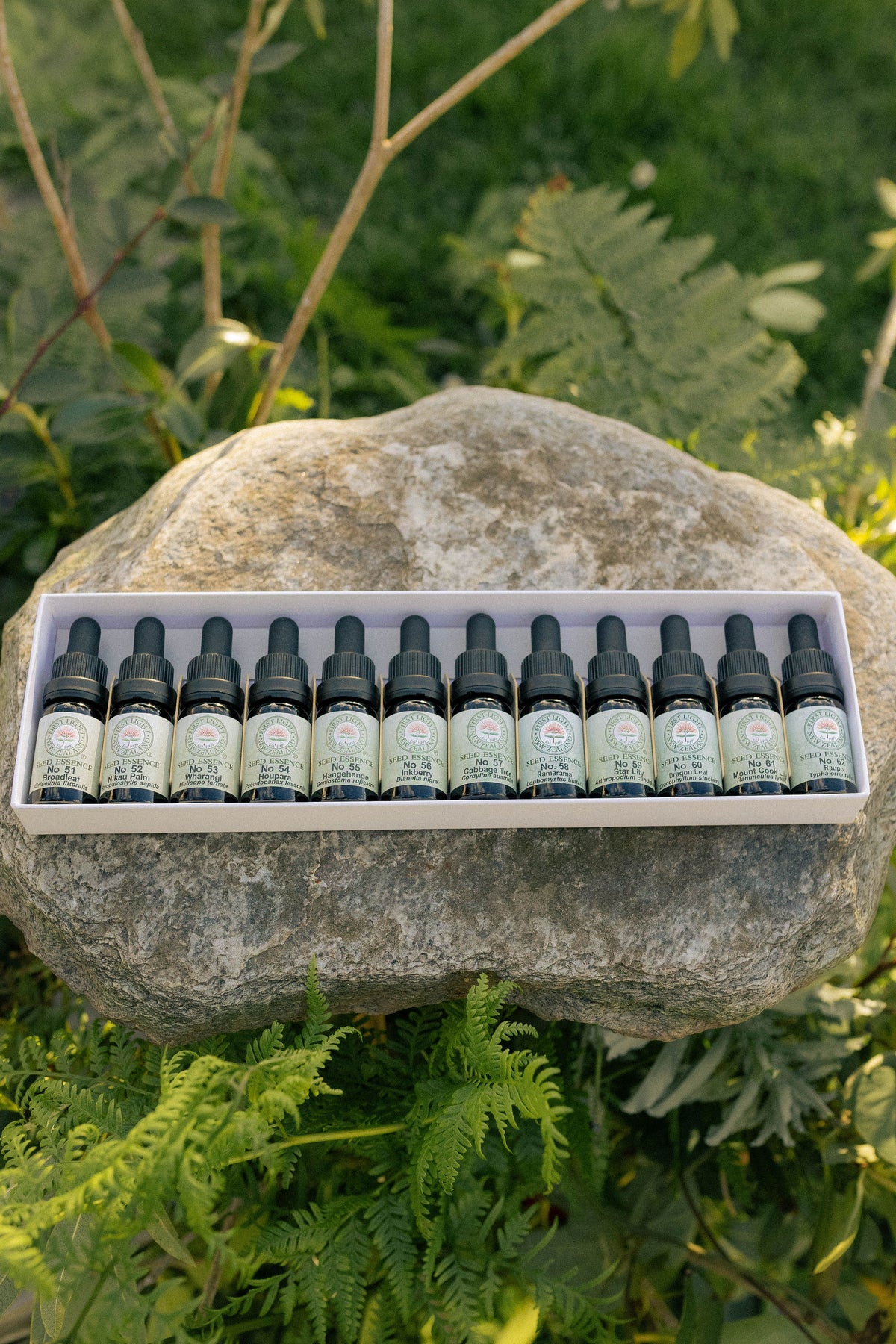 First Light seed essence bottles in their boxed set