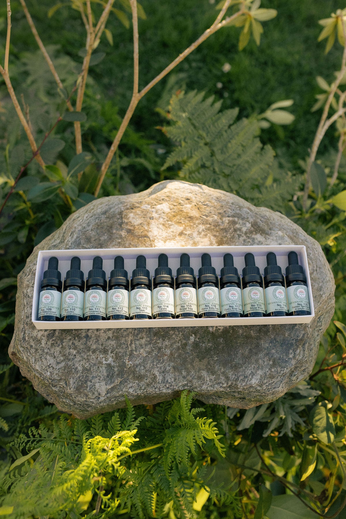 First Light shamanic essence bottles in their boxed set