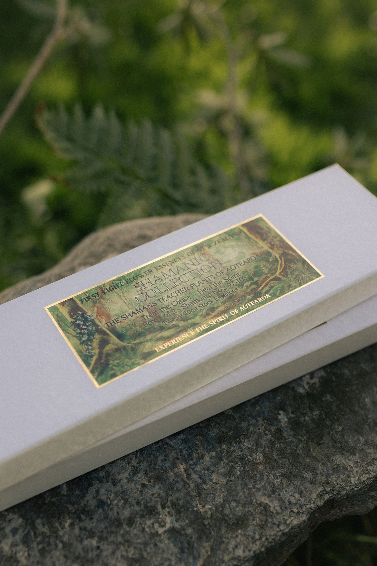 The Shamanic Collection Two Box Set No's 97-120