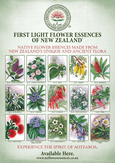 First Light® A2 Poster – Native Plants