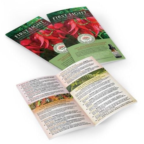 First Light® Product Brochures