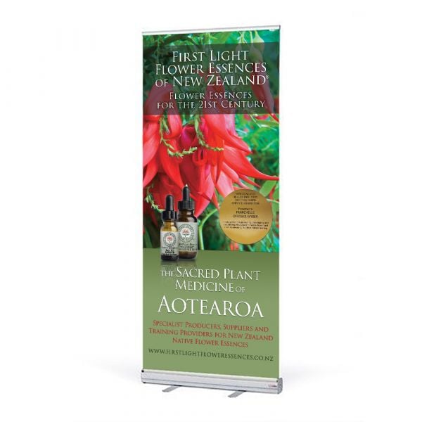 Exhibition Banner Graphics