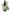 No 102 Tree Daisy flower essence, 10ml stock oral dropper bottle