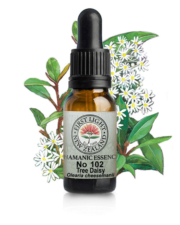 No 102 Tree Daisy flower essence, 10ml stock oral dropper bottle