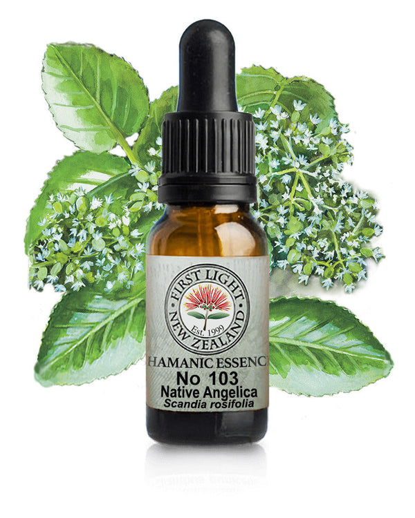No 103 Native Angelica flower essence, 10ml stock oral dropper bottle