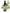 No 105 Tawa flower essence, 10ml stock oral dropper bottle