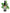 No 107 Tree Nettle flower essence, 10ml stock oral dropper bottle
