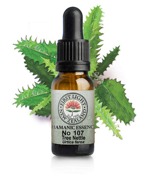 No 107 Tree Nettle